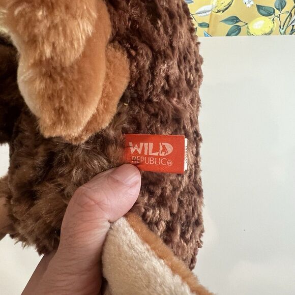 Wild Republic Brand Red Tail Hawk 2015 Toy Soft Plush 12" Tall - Picture 5 of 5